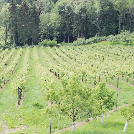 Buschenschank Ofnerpeter Sankt Stefan ob Stainz Ngoại thất bức ảnh