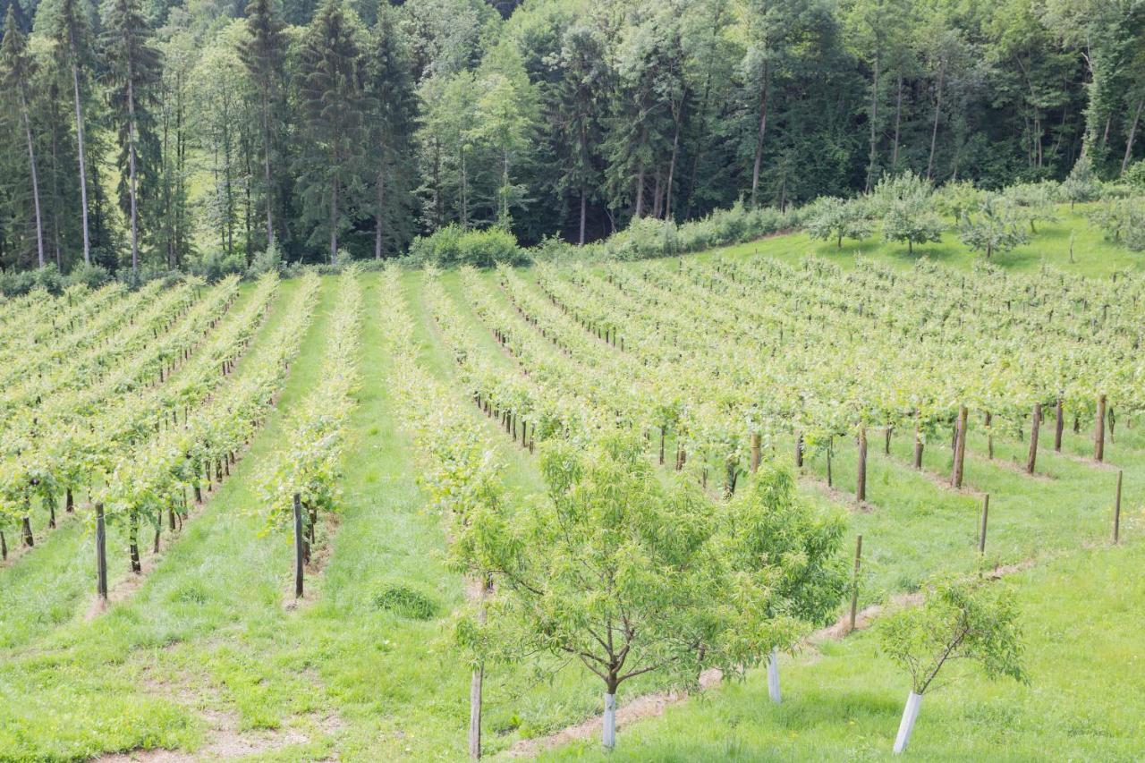 Buschenschank Ofnerpeter Sankt Stefan ob Stainz Ngoại thất bức ảnh